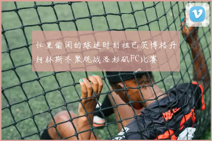 忙里偷闲的球迷时刻祖巴茨博格丹柯林斯齐聚观战洛杉矶FC比赛