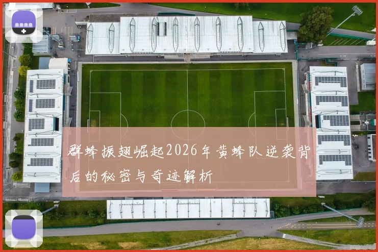 群蜂振翅崛起2026年黄蜂队逆袭背后的秘密与奇迹解析